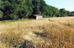 Muíño do Bugallo, na Ponte